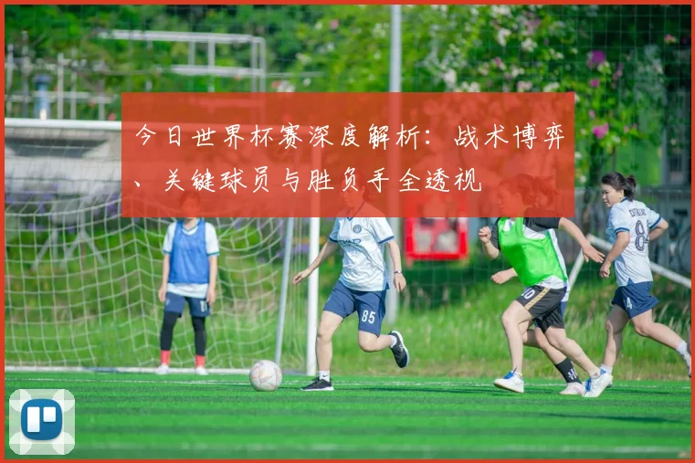 今日世界杯赛深度解析：战术博弈、关键球员与胜负手全透视