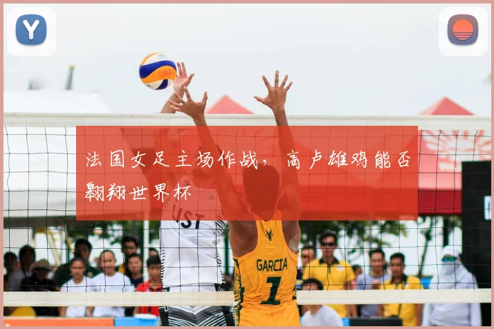 法国女足主场作战,高卢雄鸡能否翱翔世界杯