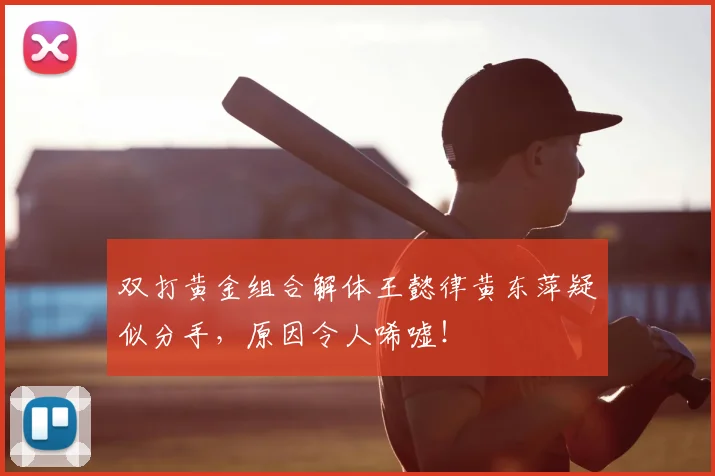 双打黄金组合解体王懿律黄东萍疑似分手,原因令人唏嘘!
